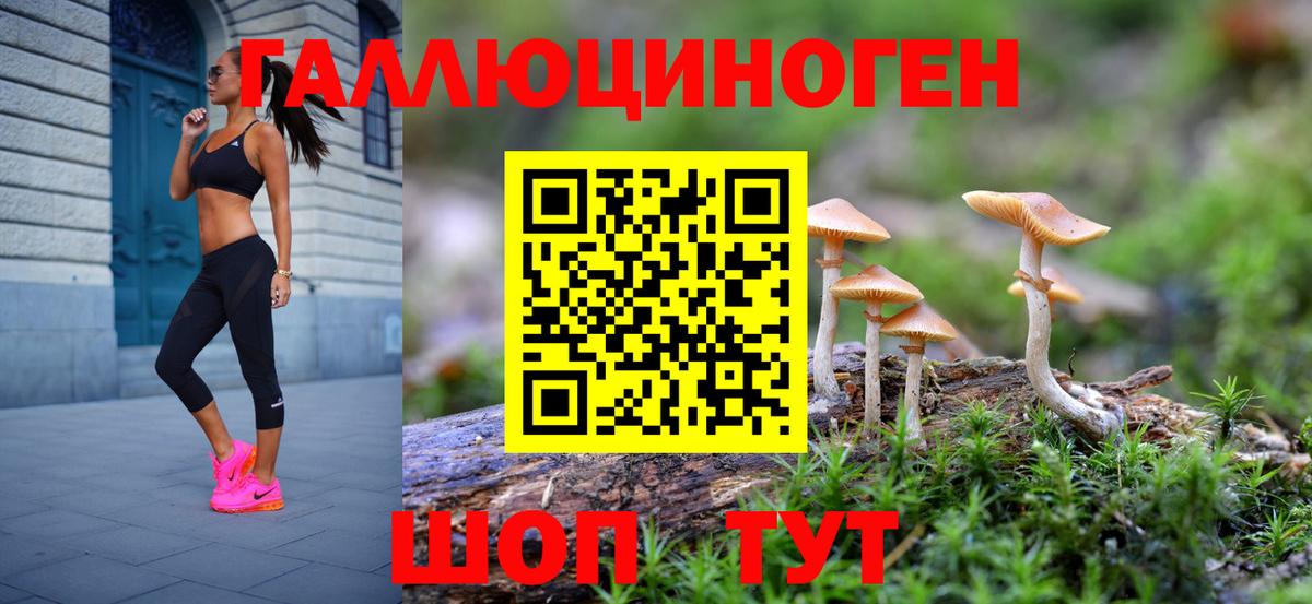 Будённовск  Псилоцибиновые грибы мицелий  Вход с VPN 